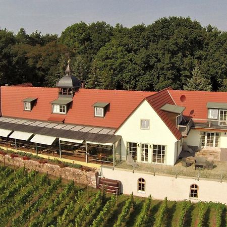 Pension Bella Vista - Winzerhof Golk Meißen Esterno foto