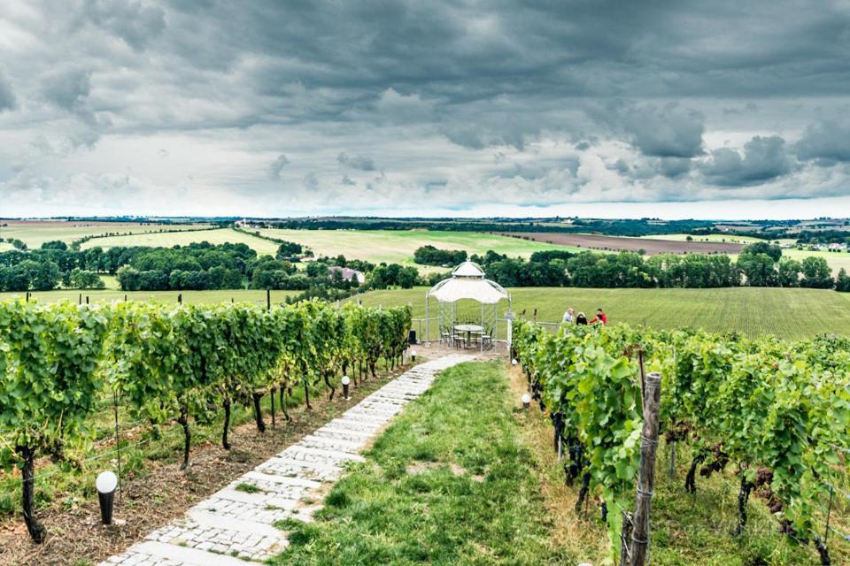 Pension Bella Vista - Winzerhof Golk Meißen Esterno foto