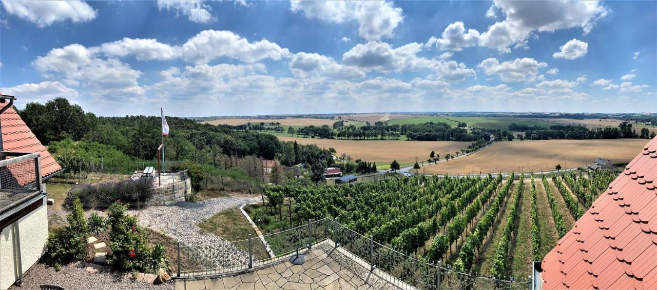 Pension Bella Vista - Winzerhof Golk Meißen Esterno foto