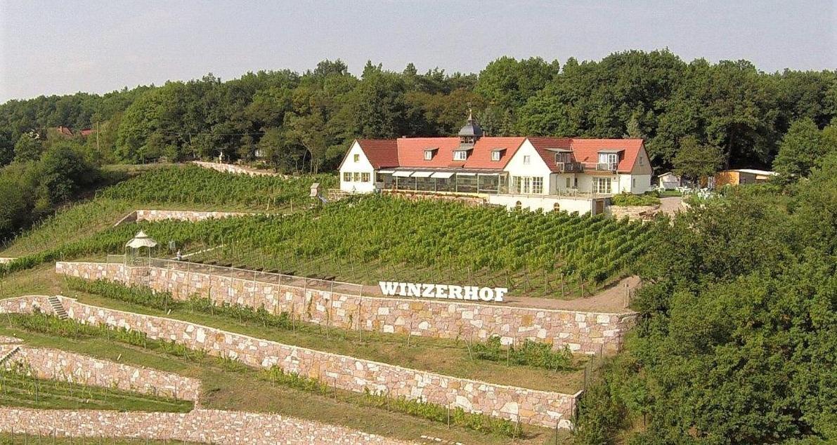 Pension Bella Vista - Winzerhof Golk Meißen Esterno foto