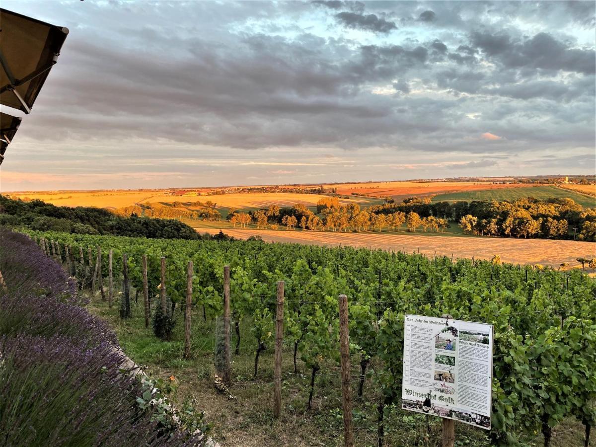 Pension Bella Vista - Winzerhof Golk Meißen Esterno foto