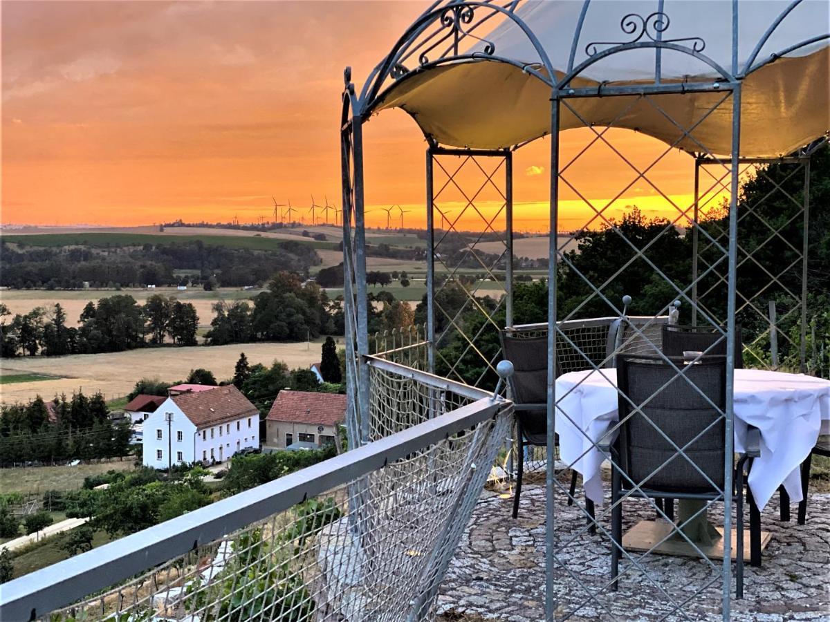 Pension Bella Vista - Winzerhof Golk Meißen Esterno foto